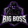 bigbossiptv